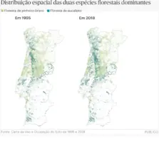 DistribuiçãoEspécies.webp